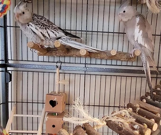 Bird Parrot Ladder Perch for Cage, Nature Wooden Bird Bridge Exercise Stands Parrot Climbing Chewing Toys for Small Animal-Mewly Pet