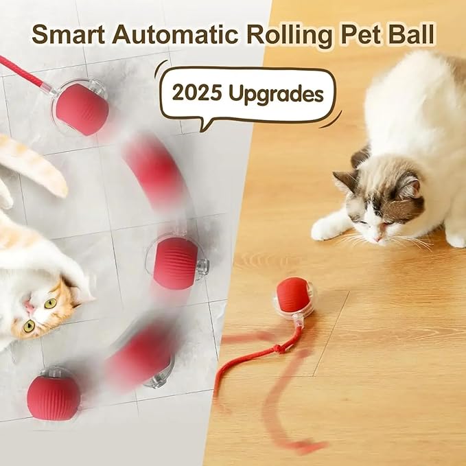 Interactive Pet Chase Toy - Rechargeable, Motion Ball, Self-Moving Kitten Toy for Indoor Interactive Playing, Smart Cat Rolling Ball-Mewly Pet