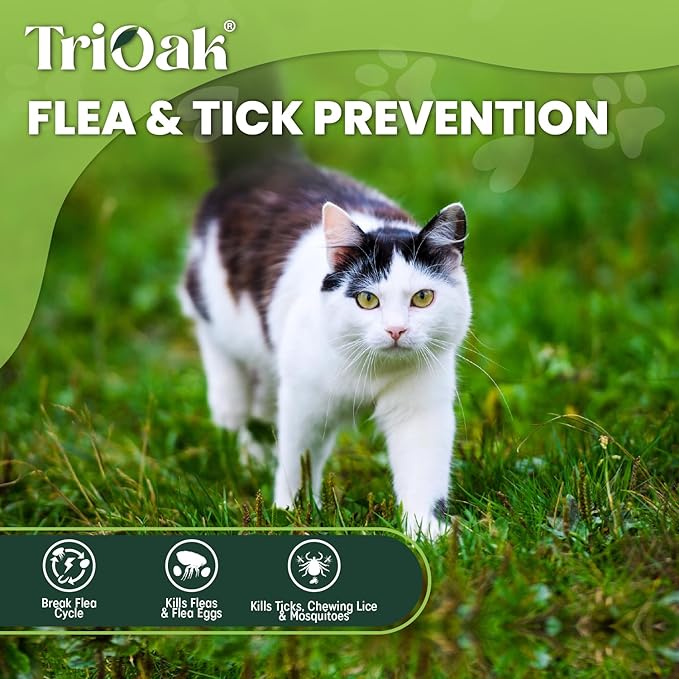 Flea and Tick Prevention for Cats: Flea & Tick Topical for Cats Over 1.5lbs, 6 Dose Flea and Tick Control/Prevention for 6 Months (6 Pack)-Mewly Pet