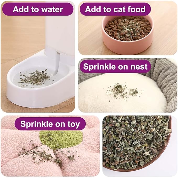Organic Natural Catnip Cattle Grass Mint Taste Funny Cat Toy New Cat Toy Interactive Cat Toys Pet Supplies-Mewly Pet