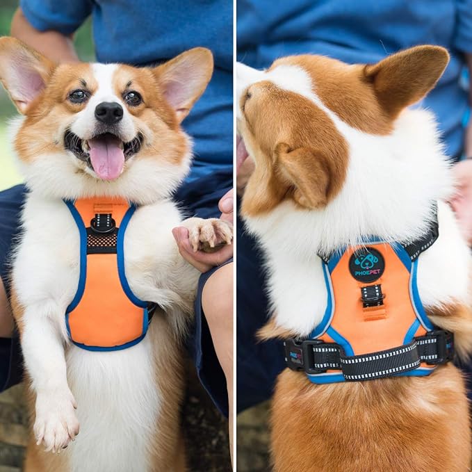 PHOEPET 2019 No Pull Dog Harnesses for Small Dogs Reflective Adjustable Front Clip Vest with Handle 2 Metal Rings 3 Buckles [Easy to Put on & Take Off](S, Orange)-Mewly Pet
