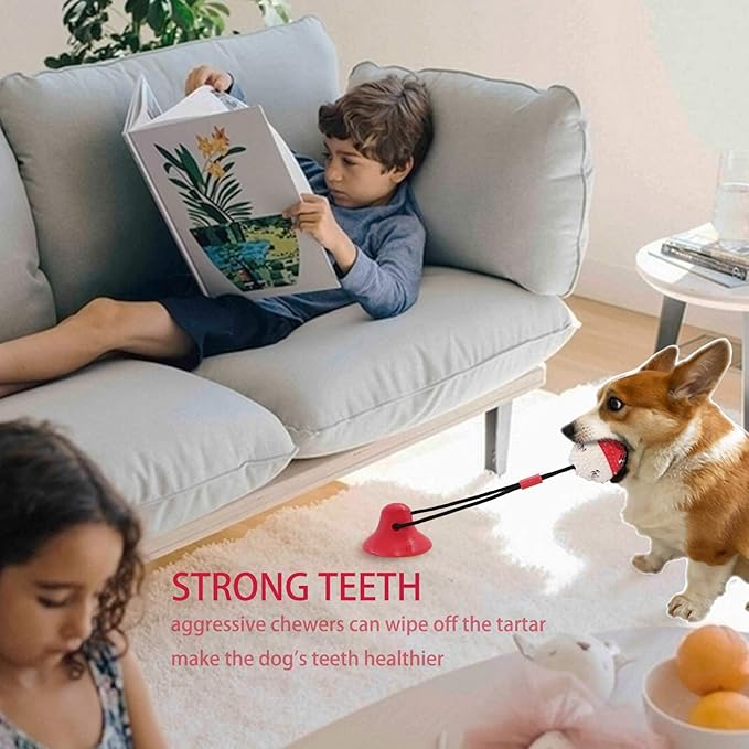 Dog Toys, Dog Chew Toys for Aggressive chewers,Rope with Suction Cup for Puppy Training Treats Teething for Boredom, Small Dog Puzzle Toy Treat Food Dispensing Ball (red)-Mewly Pet