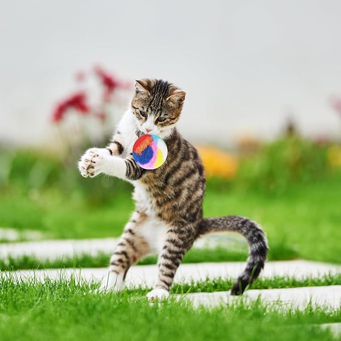 Nicunom 60 PCS Cat Pom Pom Balls, 1.7Inch Rainbow Cat Toy Balls, Soft Plush Cat Ball Fuzzy Kitty Balls Colorful Kitten Puff Balls Cat Chase Ball for Kitten Pet Interactive Playing Exercising-Mewly Pet