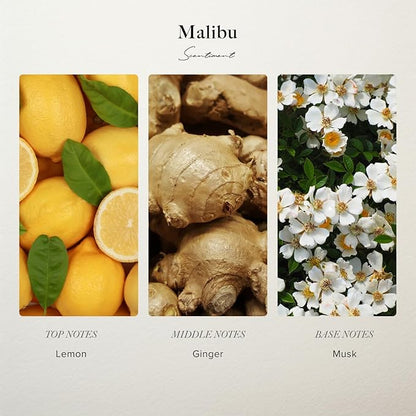 Scentiment Diffuser Oil - Malibu Hotel | Aromatherapy Home Fragrance | Inspired by Nobu® Hotel | Luxurious Scent with Notes of Lemon, Ginger, Musk (50 mL)