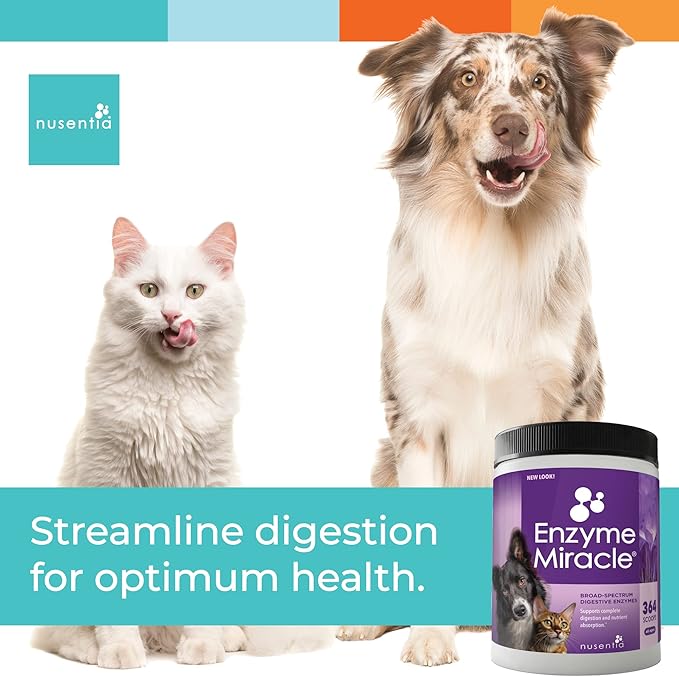 Digestive Enzymes for Dogs & Cats : Protein, Carbs, Starches & Fats Digestion : Supports Diet Change : Enzyme Miracle (364 Scoops, Powder)-Mewly Pet