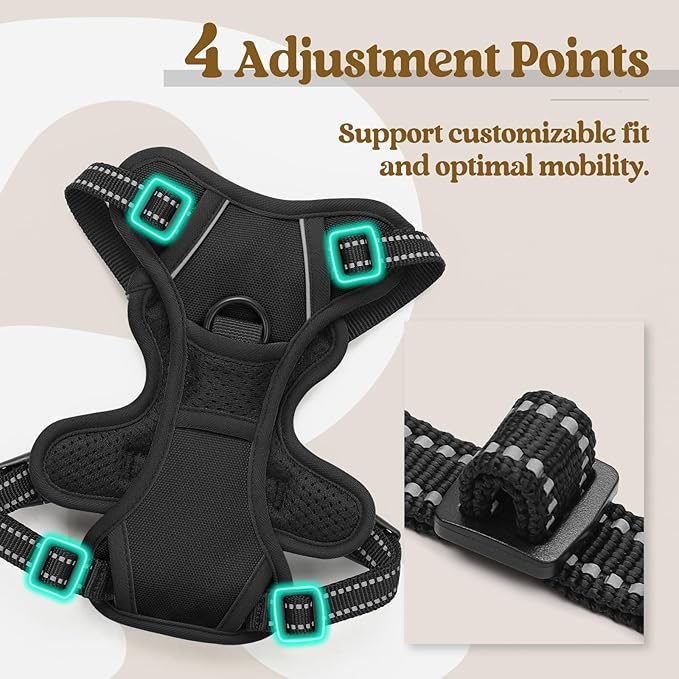 rabbitgoo Dog Harness No Pull with 2 Leash Clips, Adjustable Soft Padded, Reflective Oxford No Choke Pet Vest with Easy Control Handle for Puppy, Black, XS-Mewly Pet