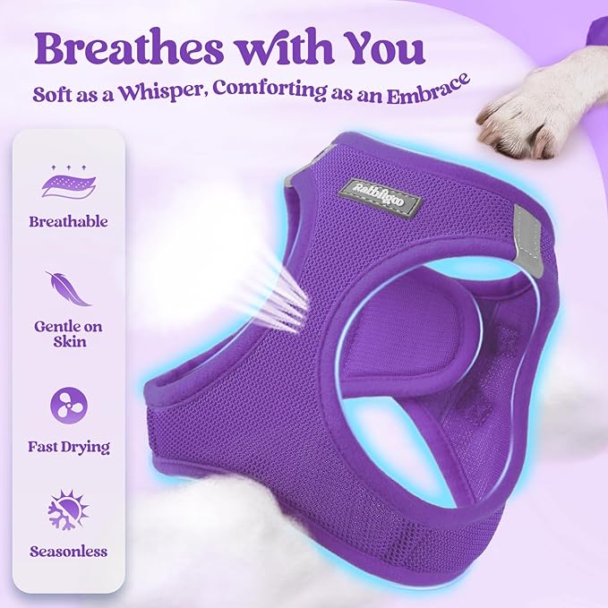 rabbitgoo Dog Harness Small Sized and Leash Set, Step in Soft Light Puppy Vest, Breathable Mesh Pet Harness, Reflective for Safe Outdoor Walking, Purple M-Mewly Pet