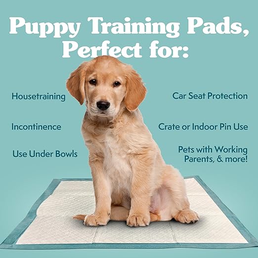 Simple Solution Puppy Training Pads – Large Leak-Proof Potty Pads for Dogs – Disposable with Odor Control and Absorbent Core for Floor Protection – 23 x 24 Inches – 100 Count-Mewly Pet