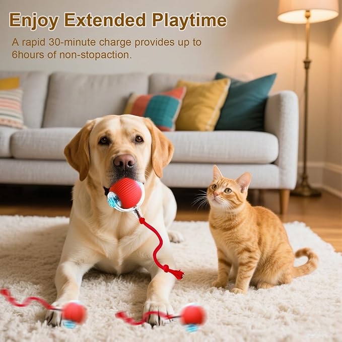 Interactive Cat Toy, 2025 New Interactive Rolling Cats Dog Toy Balls 360° Smart Automatic Rolling Pet Ball, Fast Moving Toy for Dog,Cat Ball Toy (Grey)-Mewly Pet