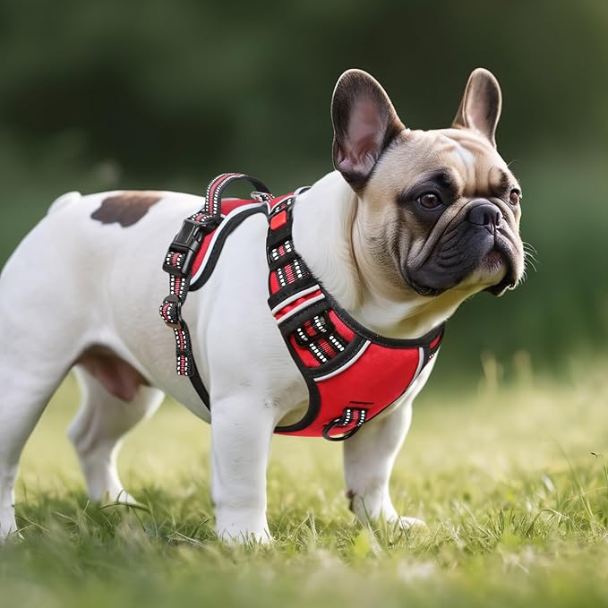 Timos Dog Harness Small Sized, No Pull with Neck Lockable Snap,No Choke Front Clip Dog Reflective Harness,Adjustable Metal Rings 3 Buckles,Easy Control Handle for Small Dogs Red S-Mewly Pet