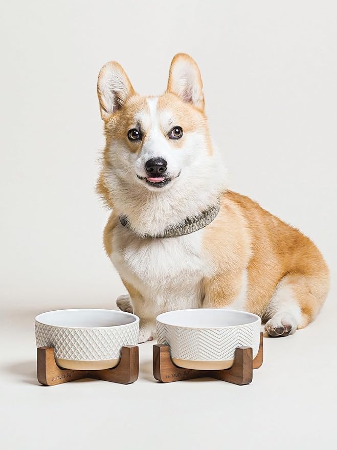 Ceramic Dog Bowl Set, 4 Cups Food and Water Bowl for Medium Small Dogs, Cute Pet Dishes with Wood Stand, Rhombus+Wave Design (Set of 2)-Mewly Pet