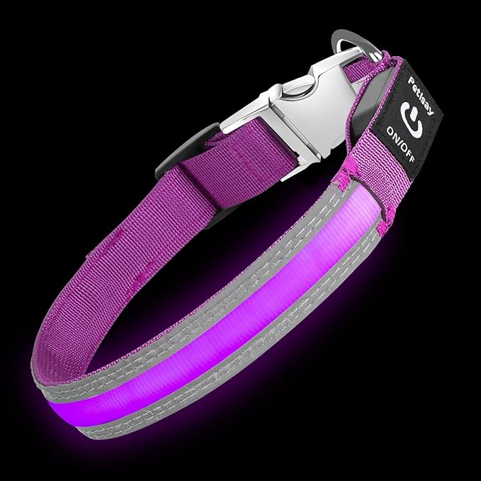 PetIsay LED Dog Collar Metal Buckle - Heavy Duty Light up Collars - Rechargeable IP68 Waterproof - Lighted Dog Collar for Night Walking, Hiking, Camping (Medium, Purple)-Mewly Pet