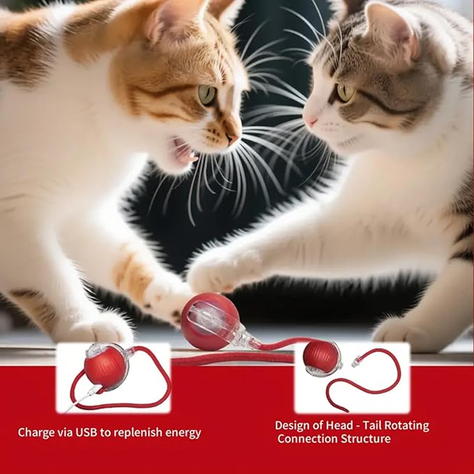 Interactive Cat Toys Ball, Newly Upgraded Automatic with Elastic Tail Rope and USB Charging. Stimulates Hunting Instincts and Promotes Exercise. Interactive Cat Toys for Bored Indoor Adult Cats-Mewly Pet