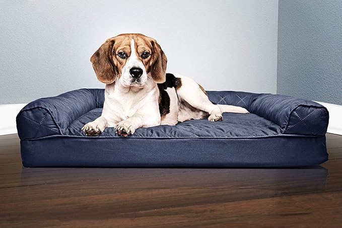 Furhaven Orthopedic Dog Bed for Medium/Small Dogs w/ Removable Bolsters & Washable Cover, For Dogs Up to 35 lbs - Quilted Sofa - Navy (Blue), Medium-Mewly Pet