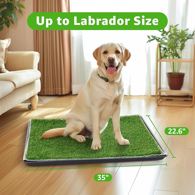 Dog Grass Large Potty Patch, Dog Litter Boxes Artificial Grass Bathroom Turf for Pet Training, Washable Puppy Pee Pad, Perfect Indoor/Outdoor Portable Potty Pet Loo-Mewly Pet