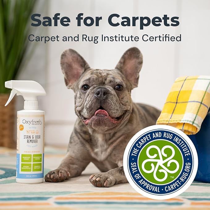 Oxyfresh Advanced Pet Stain Remover & Urine Odor Eliminator – Fast Acting Pet Odor Eliminator for All Surfaces - Best Way to Remove Stains - Dog & Cat Urine Neutralizer-Mewly Pet