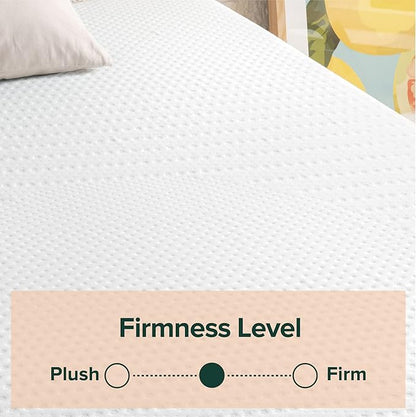 ZINUS 12 Inch Green Tea Essential Memory Foam Mattress, Queen, Mattress in A Box, Affordable Mattress, CertiPUR-US Certified
