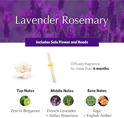 AGRARIA PetiteEssence Flower and Reed Diffuser Set, Hand Crafted Sola Flower Botanical Home Fragrance Set, Scented Oil Gift for All Occasions