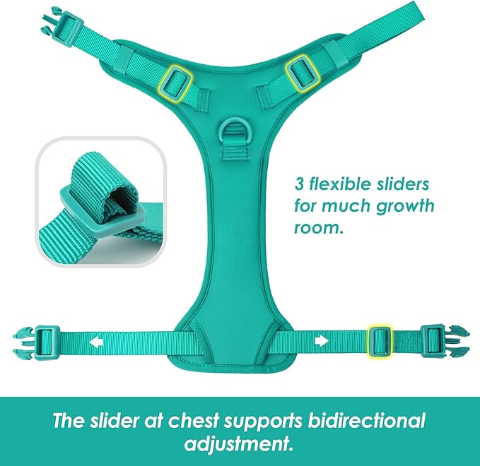 No Pull Dog Harness, Puppy Vest with Front Clip for Small Medium Large Sized Dog(MARRS Green,M)-Mewly Pet