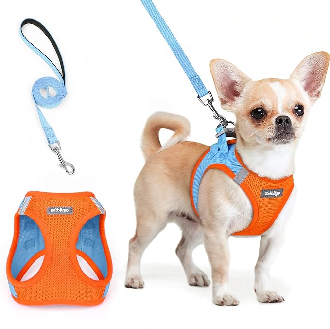 rabbitgoo Dog Harness Small Sized and Leash Set, Step in Soft Light Puppy Vest, Breathable Mesh Pet Harness, Reflective for Safe Easy Walking, Blue & Orange XXS-Mewly Pet