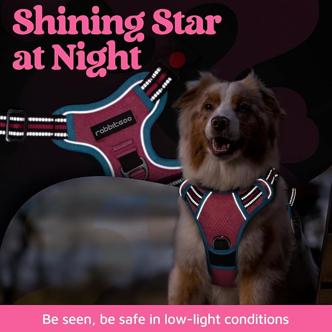 rabbitgoo Dog Harness Small Sized, No Pull Dog Vest with 3 Buckles, Adjustable Soft Padded Pet Harness with Easy Control Handle and Reflective Strips, Rose Pink & Blue, S-Mewly Pet