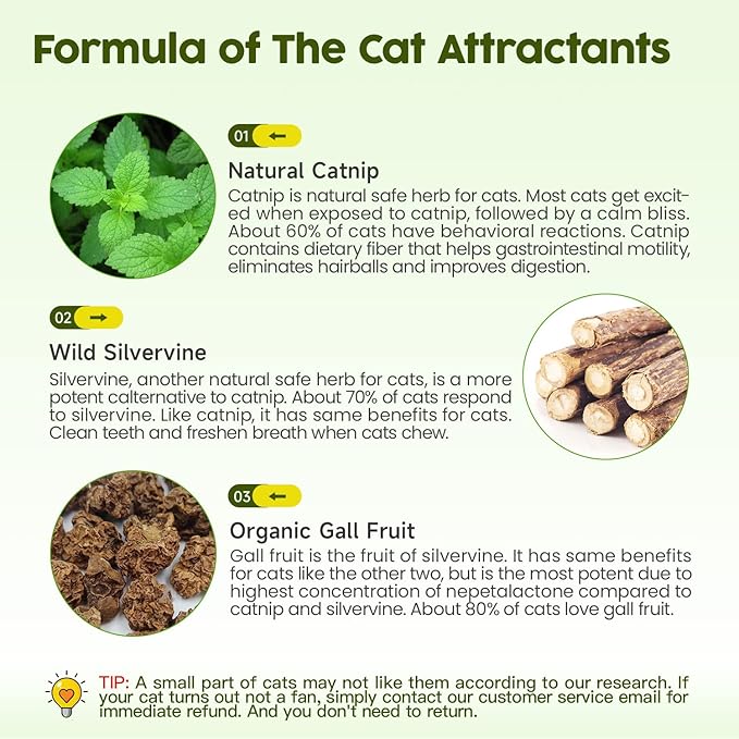 Potaroma Catnip Toys, 3Pcs Cat Toys Natural Silvervine Stick Cage Balls & Bell Ball for Indoor Cats, Kitten Cleaning Teeth Molar Matatabi Cat Chew Toy All Breeds-Mewly Pet