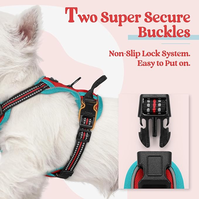 rabbitgoo Dog Harness No Pull with 2 Leash Clips, Adjustable Soft Padded, Reflective Oxford No Choke Pet Vest with Easy Control Handle for Puppy, Red & Teal, XS-Mewly Pet