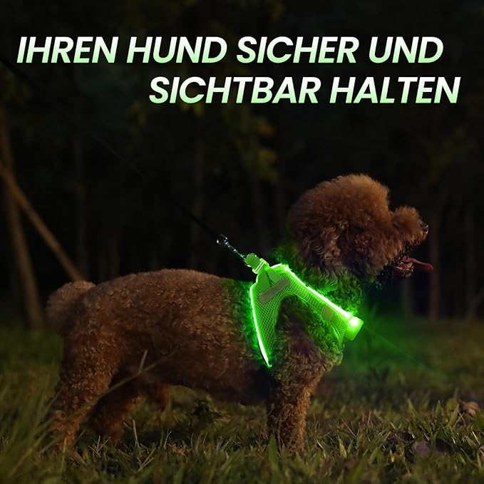 PceoTllar Light Up Dog Harness, LED No Pull Reflective Dog Harness, Flashing Lighted for Night Walking - Small/Medium, (Green M)-Mewly Pet