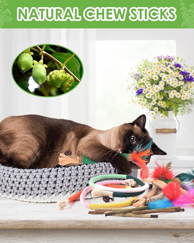 TINDTOP Cat Chew Toys, 12 Pack Silvervine Chew Sticks with 2 Pack Chew Ropes for Kittens Teeth Cleaning, Increase Appetite, Aggressive Chewers Cat Dental Toy-Mewly Pet