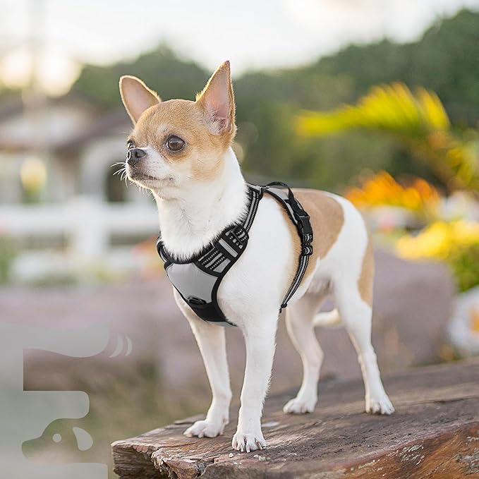 Eagloo Small Dog Harness No Pull, Service Vest with Reflective Strips and Control Handle, Adjustable and Comfortable for Walking, No Choke Pet Harness with 2 Metal Rings, Grey, XS-Mewly Pet