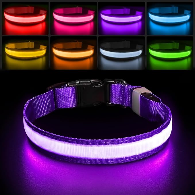 PcEoTllar Light up Dog Collar for Night Walking - LED Dog Collar Light Rechargeable Color Changing, Glow in The Dark Dog Collars Waterproof Glowing Dog Collars for Large Small Medium Dogs, Purple S-Mewly Pet