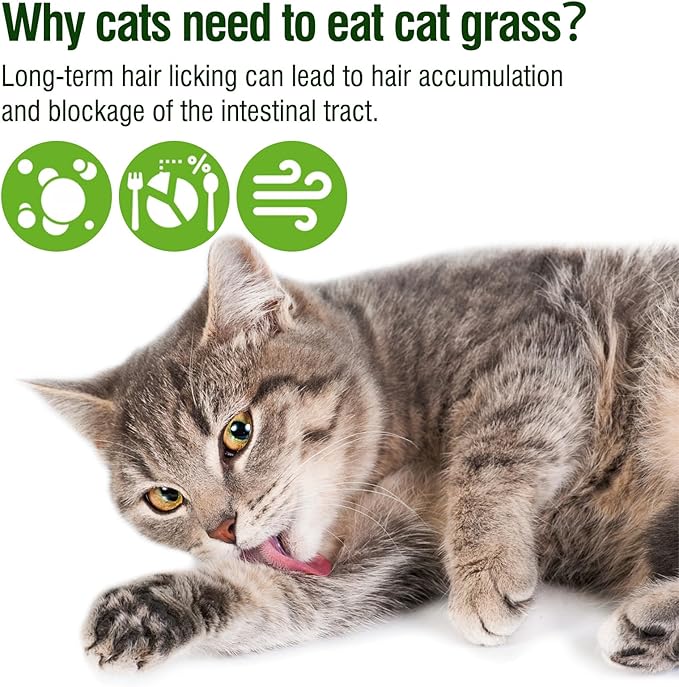 225g Cat Grass Teething Stick, Delicious Cat Treat Snack Edible Cat Chew Toy for Teeth Cleaning and Hairball Removal in Cats-Mewly Pet