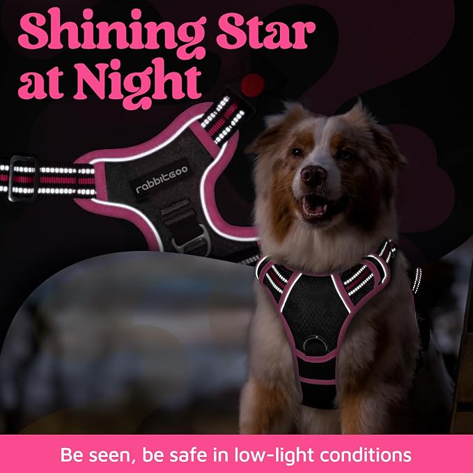 rabbitgoo Dog Harness Small Sized, No Pull Dog Vest with 3 Buckles, Adjustable Soft Padded Pet Harness with Easy Control Handle and Reflective Strips, Black & Rose Pink, S-Mewly Pet