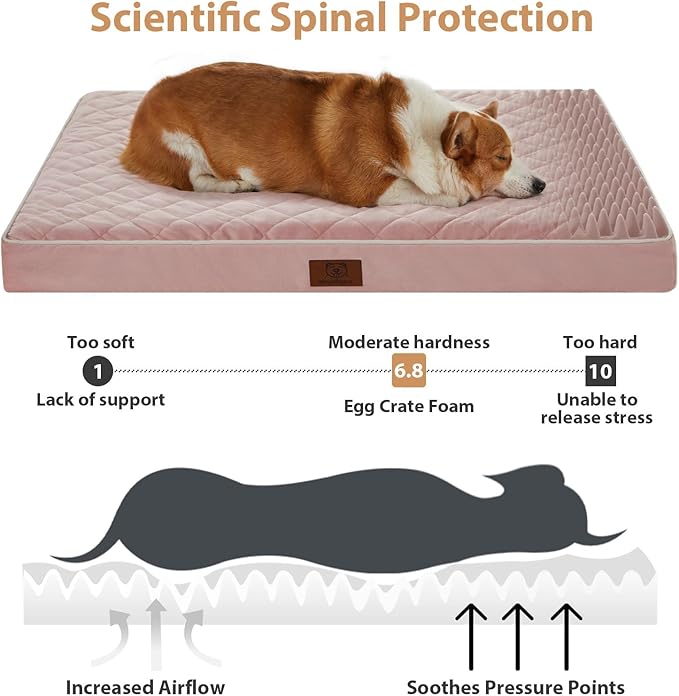 WNPETHOME Orthopedic XL Dog Bed for Crate, Waterproof Extra Large Dogs Bed with Removable Washable Cover, Multi-Needle Quilting Dogs Crate Bed-Mewly Pet