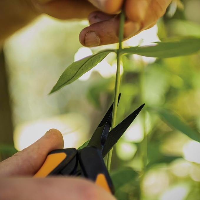Fiskars 6" Pruning Scissors (2-Pack) for Flowers, Buds, Weeds and Small Plants, Garden Snips with Resin Resistant Nonstick Stainless Steel Blades, Gardening Trimmers with Comfortable Handle-Mewly Pet
