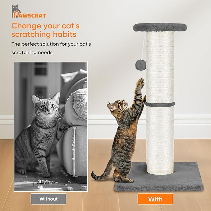 PAWSCRAT Cat Scratching Post 32" Tall, Large Diameter Natural Sisal Cat Scratch Post with Dangling Ball, Scratch-Resistant and Durable for Indoor Cats, Protect Your Furniture, LightGrey-Mewly Pet