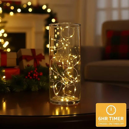 QBIS Warm White Fairy Lights Battery Operated with Timer Mode, 40 Micro LEDs for Mason Jars, 6.5ft, Silver Wire Lights Indoor Use (Warm White) - 2 Pack