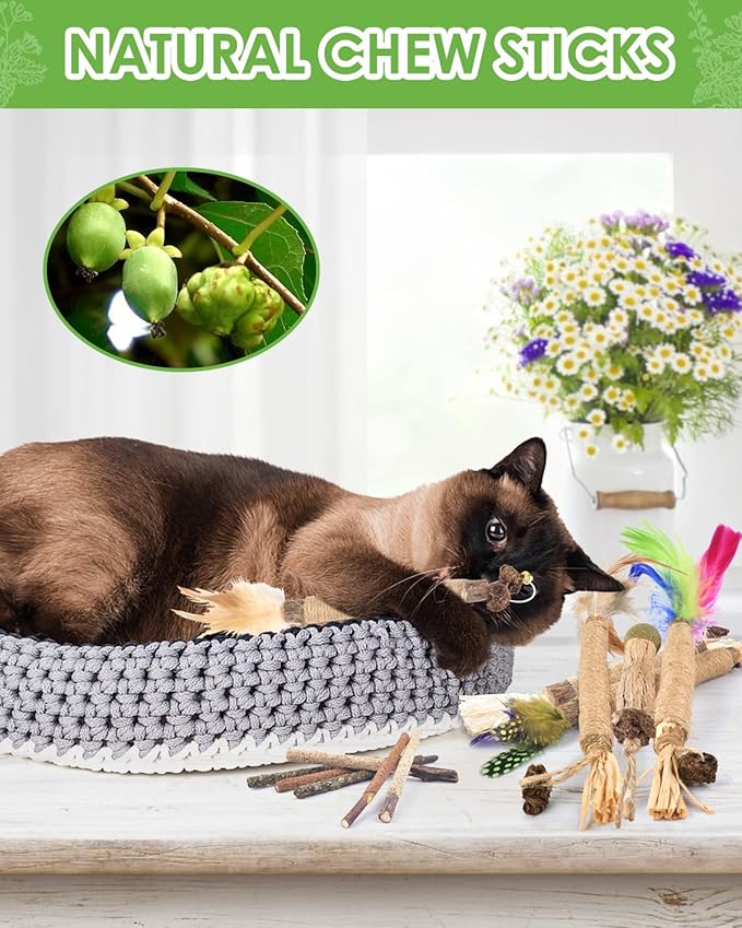 TINDTOP Silvervine Chew Sticks for Cats, 12 Pack Natural Catnip Chew Toys for Kittens Teeth Cleaning, Matatabi Dental Care, Increase Appetite, Calm Cat Anxiety and Stress, Cat Dental Toy-Mewly Pet