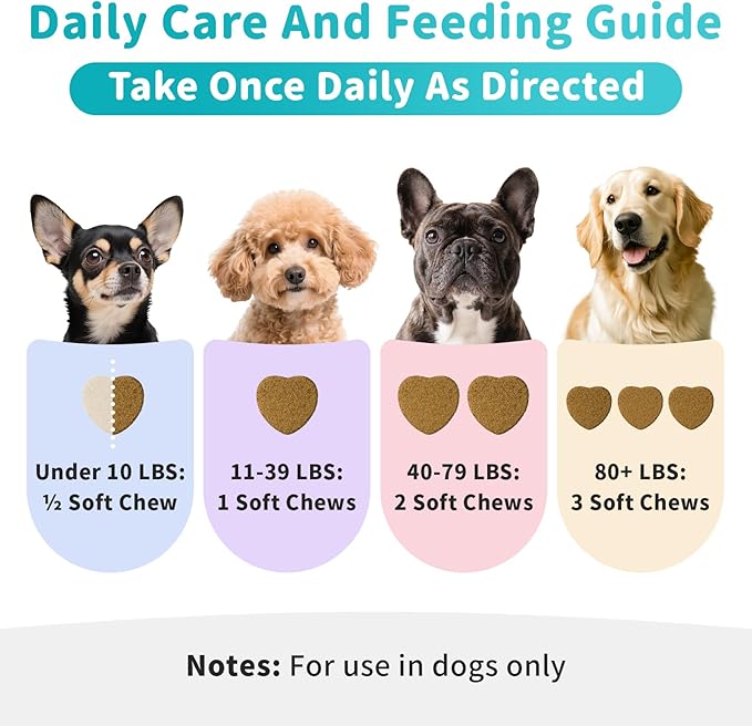 Dog Skin & Allergy Chews - Dog Probiotics for Sensitive Skin Health Support - Allergy Relief - Support Seasonal Allergies, Immune & Gut & Digestive Health Supplement - Beef Flavor - 90 Count-Mewly Pet