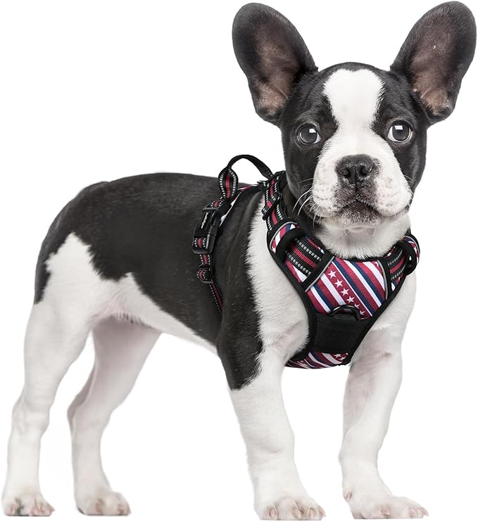 rabbitgoo Dog Harness No Pull with 2 Leash Clips, Adjustable Soft Padded, Reflective Oxford No Choke Pet Vest with Easy Control Handle for Large Dogs, Red Stripe, S-Mewly Pet