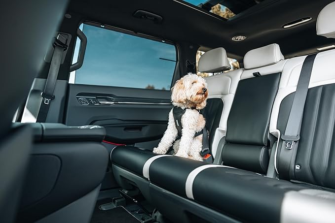 Thule Cappy Dog Harness L - Crash-Tested for Safety - Seatbelt passthrough - Adjustable & Easy to Clean - Padded Breathable mesh Panels - Leash Loop - Step-in Design-Mewly Pet