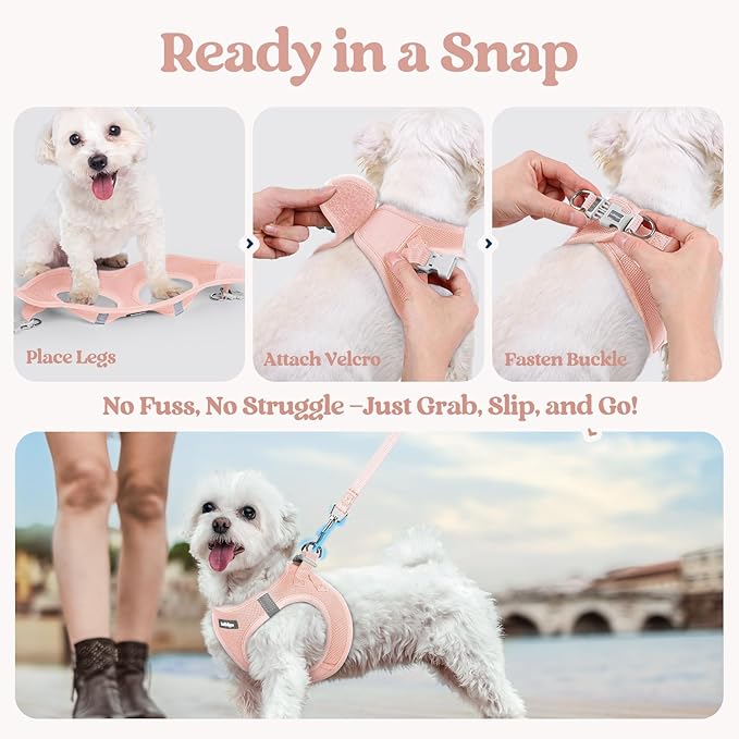 rabbitgoo Dog Harness Small Sized and Leash Set, Step in Soft Light Puppy Vest, Breathable Mesh Pet Harness, Reflective for Safe Outdoor Walking, Pink M-Mewly Pet