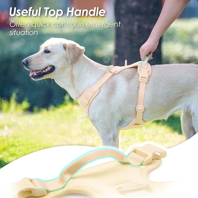 No Pull Dog Harness, Puppy Vest with Front Clip for Small Medium Large Sized Dog(Light Yellow,XS)-Mewly Pet