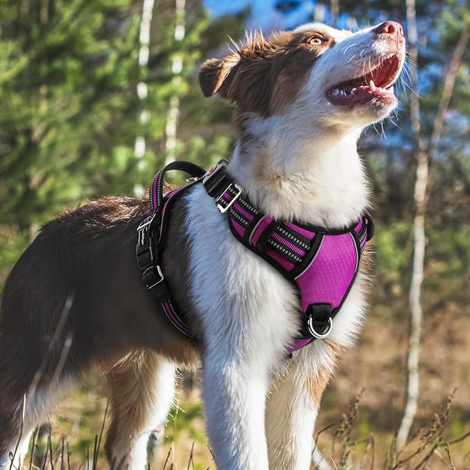 rabbitgoo Dog Harness Medium Sized, No Pull Dog Vest with 3 Buckles, Adjustable Soft Padded Pet Harness with Easy Control Handle and Reflective Strips, Purple, M-Mewly Pet