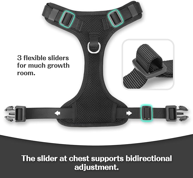 No Pull Dog Harness for Small Medium Large Dogs - Adjustable Two-Layer Mesh Dog Vest with Dual Clip, Escape Proof, Quick Release, Lightweight Breathable Mesh for Walking Hiking (Black,XL)-Mewly Pet