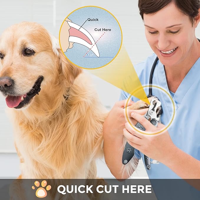 Best Dog Nail Trimmers for Anxiety Sensitive Dogs, Quiet Sharpest Smoothest Nail Clippers for Large Dog Medium Small, Professional Stainless Steel with Nail File & Comb, Left-Handed Friendly-Mewly Pet