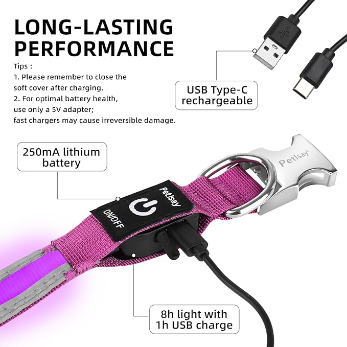 PetIsay LED Dog Collar Metal Buckle - Heavy Duty Light up Collars - Rechargeable IP68 Waterproof - Lighted Dog Collar for Night Walking, Hiking, Camping (Medium, Purple)-Mewly Pet