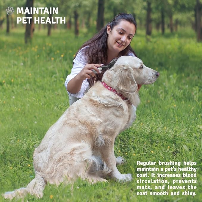 Round Bristle Pet Brush for Dogs and Cats - Soft Dog Brush for Grooming Short or Long Hair - Gentle Tool for Sensitive Skin Removes Dander, Dirt, and Detangles (Black)-Mewly Pet