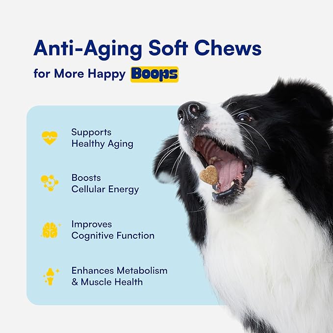 NAD+ Precursor & Senior Dog Supplement - 90 Soft Chews & Vitamins - NMN Alternative for Longevity, Anti-Aging & Energy - Nicotinamide Riboside, Resveratrol, Quercetin, Made with Pasture-Raised Chicken-Mewly Pet