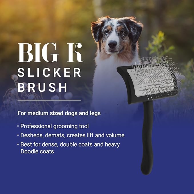 Chris Christensen Big K Dog Slicker Brush for Dogs (Goldendoodles, Labradoodles, Poodles), Groom Like a Professional, Fluff Detangle Style, Saves Time Energy, Black, Medium-Mewly Pet